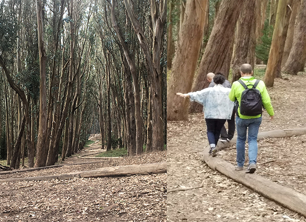 Wood Line; located near Lover's Lane